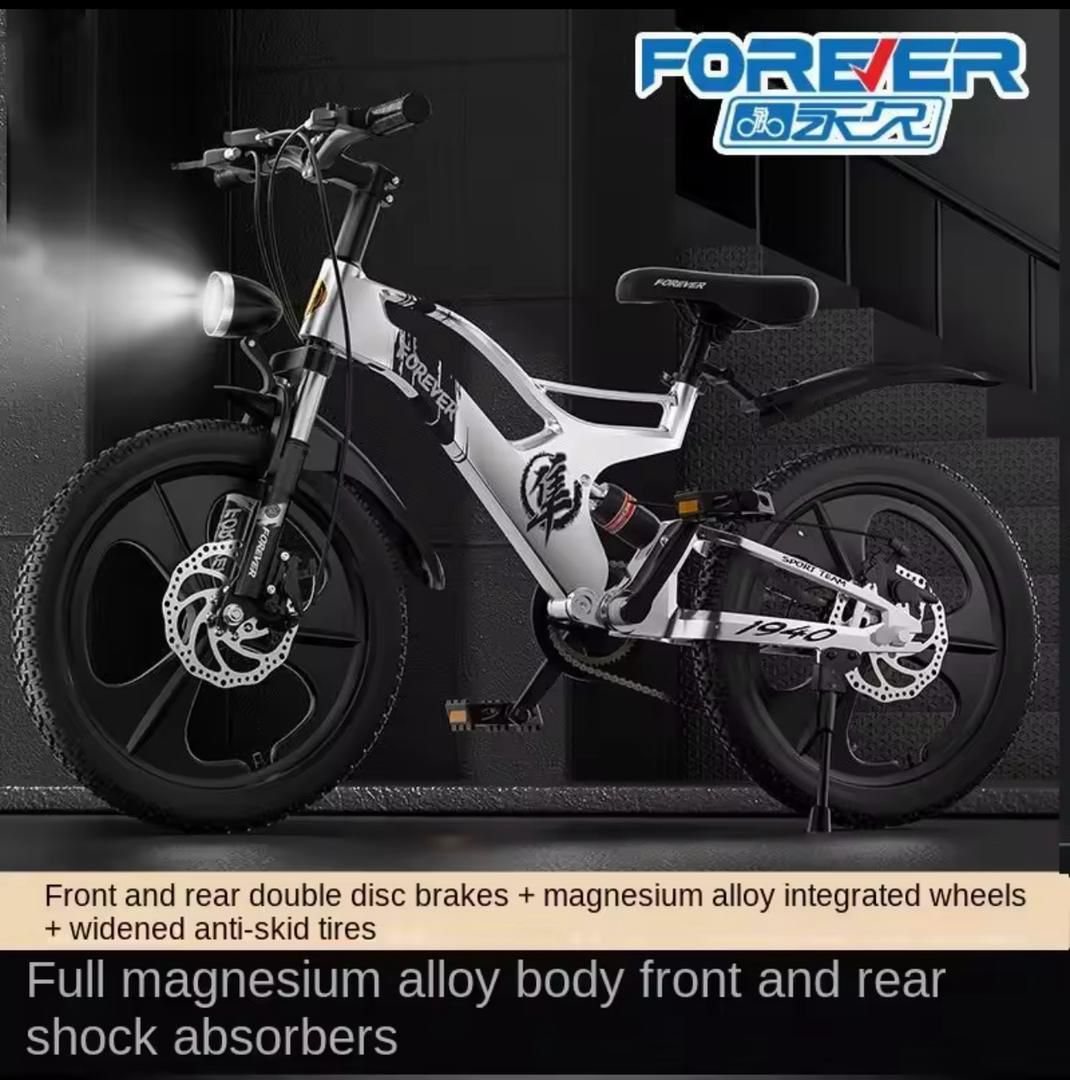 Bicycle ( Age 10-18)